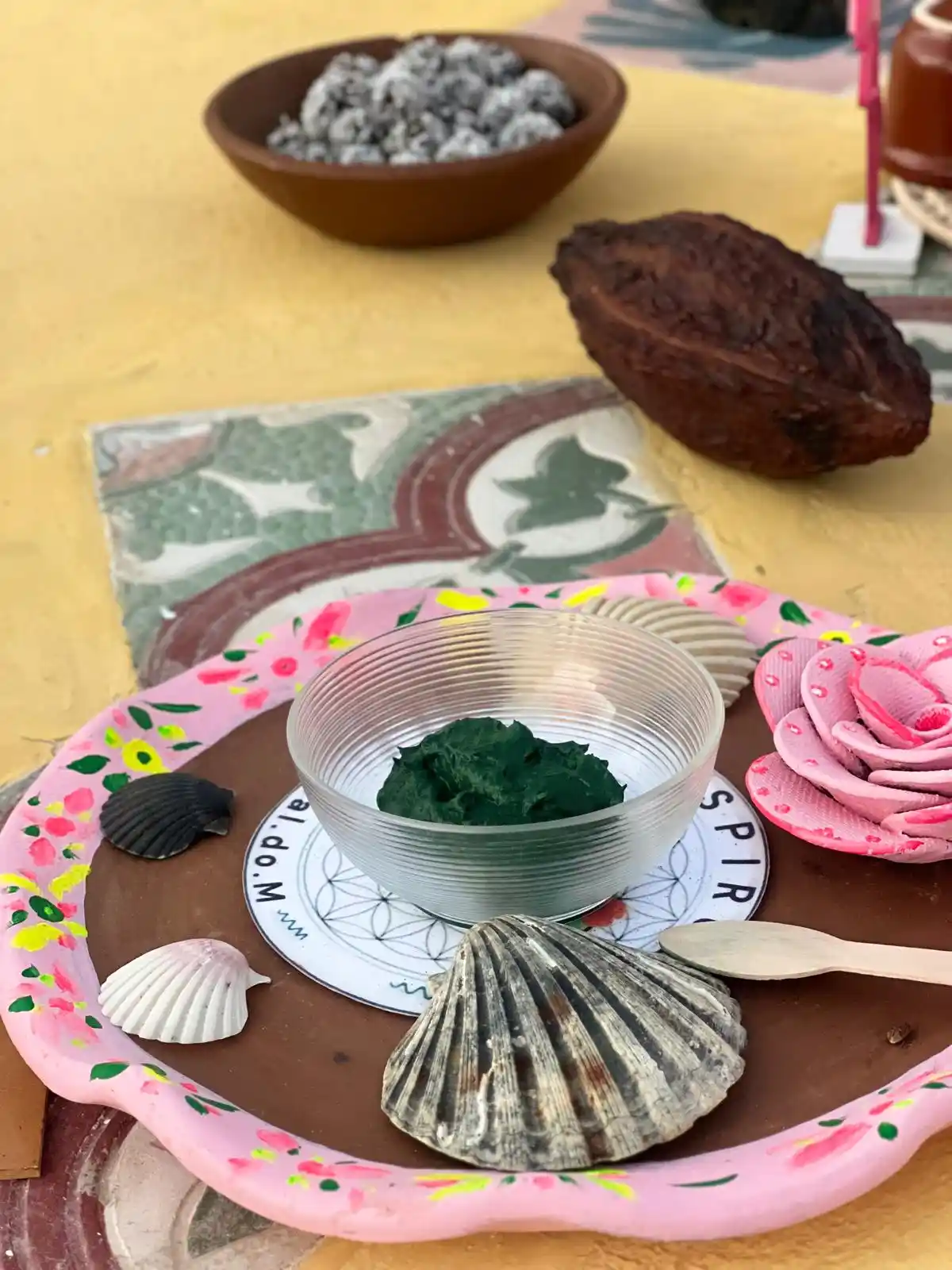 spiruline-cacao-activite-acceuil.webp